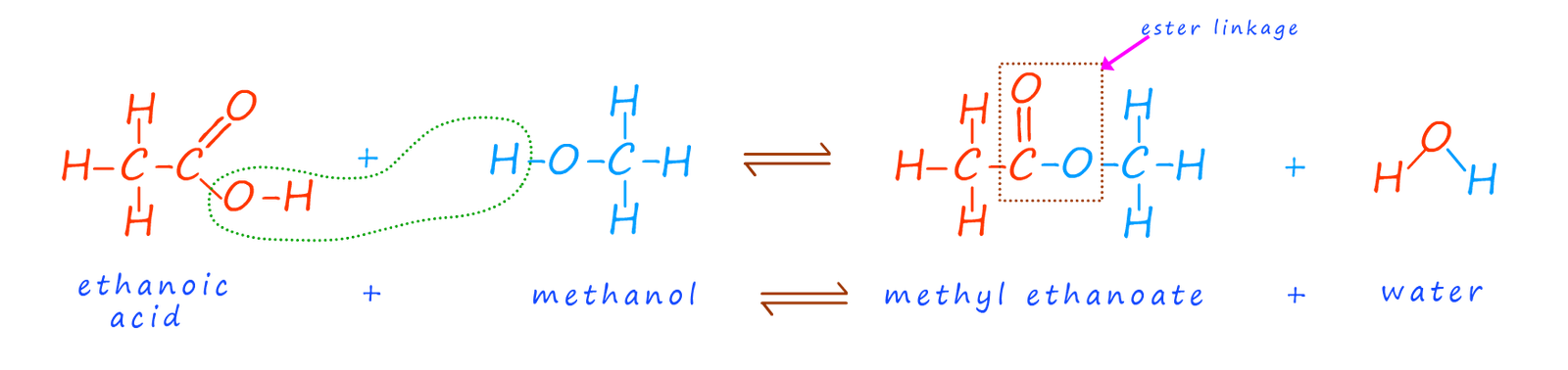 esterification equation